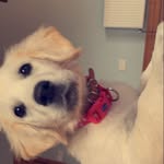 Nikki - @nikki_meade.1 - Instagram