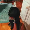 Nikki - @nikki.menz - TikTok