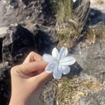 Minea Ng Nake - Facebook