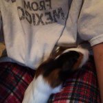 Nikki Morin - @pet_channel - Instagram