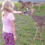 Nikki Morrow - @nikki.morrow.921 - Instagram