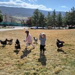 Nikki ♡ Olsen Family Farm Life - @olsenfamilyfarmlife - Instagram