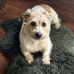 Nikki Penn - Facebook
