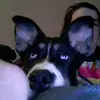 Nikki Rickard - @nikkidrickard - TikTok