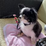 りんご - @ringononikkic5 - Instagram
