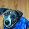 rustynikki - @rustynikki - TikTok