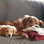 Nikki Schroeder - @nschroeder002 - Instagram