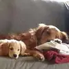 Nikki Schroeder - @nikki.schroeder27 - TikTok
