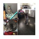 Nikki • Fiona • Skipper - @nikki.fiona.skipper - Instagram