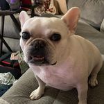 Nikki Hardbarger Stacy - @nstacy8383 - Instagram