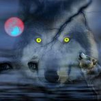 Nikki-Travis McGirt - Facebook