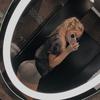 Nikki Vance - @nikkivance3 - TikTok