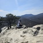 Nikki Weaver - @2manybuttons - Instagram