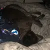 Nikki - @nikki_west1 - TikTok