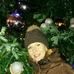 Nikki Williamson - Facebook