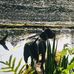 Nikki Larranaga - Zimmer - Facebook