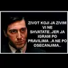 Danju fin,noću Zvezdin sin 🔴⚪ - @nikoladokic745 - TikTok