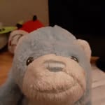 Nikolas Alvarez - @nikolas.alvarez.5074 - Instagram
