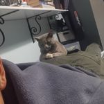 NikolasBaldwin - @n._.baldwin - Instagram
