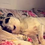 Nikolas Barnes - @nikolas_barnes01 - Instagram