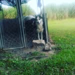 Nikolas Barrera - @izzypachuca - Instagram