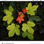 Nikolas Bass - @nikolass1410 - Instagram