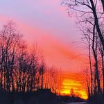nikolasbaxter3 - @nikolasbaxter8 - Instagram