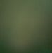 Nikolas Brown - Facebook