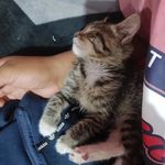 Bryan Nikolas Aimacaña - @bryan_nikolas - Instagram