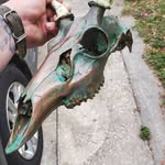 Nicholas Carlson - @slytaxidermy - Instagram