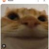 Nikolas Castro - @nikolas.castro7 - TikTok
