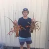Nicholas Clark - @nicholasclark0 - TikTok