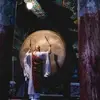 Sabrina Boyd - @nikolas_coleman339279 - TikTok