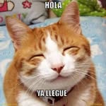 nikolas cortez - @nickoelsurco - Instagram