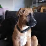 Nicholas Craig - Facebook