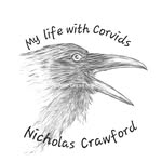 Nicholas Crawford - @nickcrawford800 - Instagram