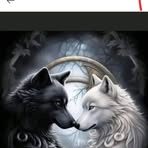 Nikolas Daniels - Facebook