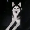nicolas - @nikolasescobar969 - TikTok
