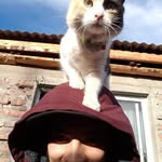 Nikolas Flores - @nikolas.flores.4.20 - Instagram