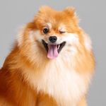 Nikolas Fox - @nikolasfoxy - Instagram