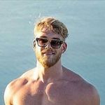 Nikolas Fox - @nikolasfoxes - Instagram