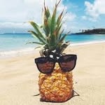 nikolas halling - @nikolashalli - Instagram