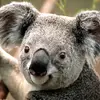Nicholas Heath - @nicholas.heath1 - TikTok