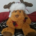 Nikolas Hunt - @unfiltered_bear - Instagram