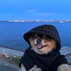 Nikolas Hunt - Facebook