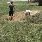 Nikolas Hunter - Facebook