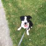 Nikolasz Hunter - Facebook
