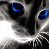 Nikolas Johnson - @nikolas.johnson - TikTok