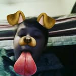 nikolas johnson - @niklee123 - Instagram