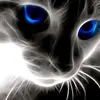 Nikolas Johnson - @nikolas.johnson - TikTok